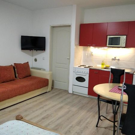 Apartman 4 - Studio Janja Sokobanja Kültér fotó