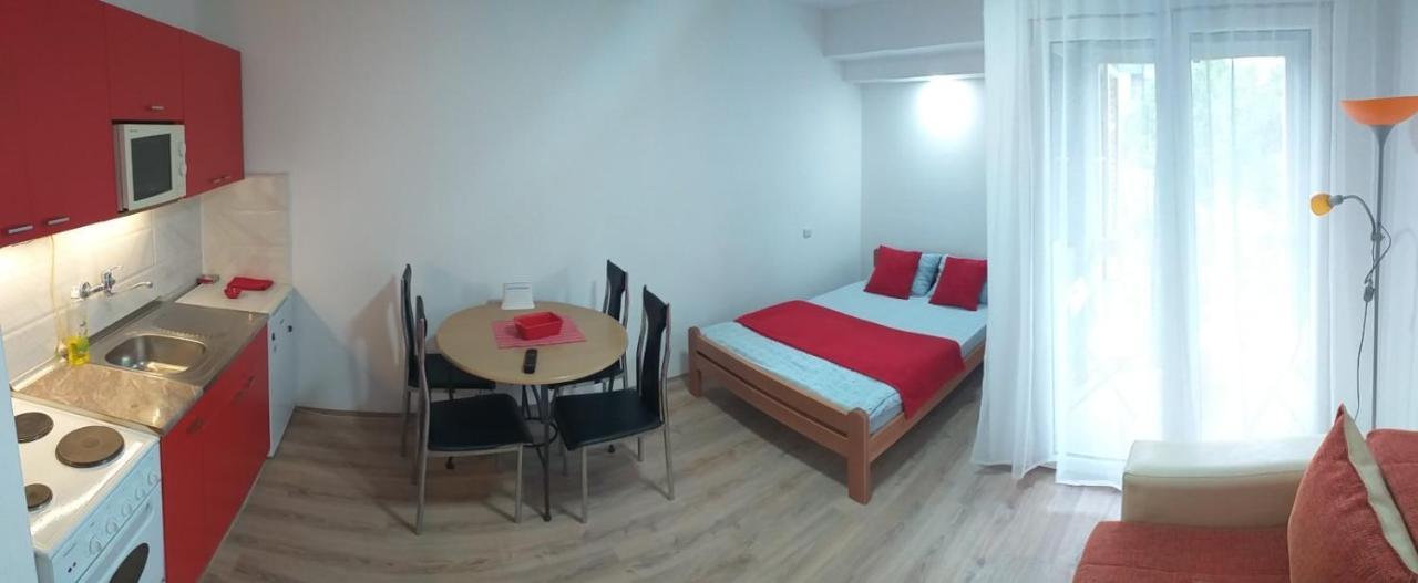 Apartman 4 - Studio Janja Sokobanja Kültér fotó