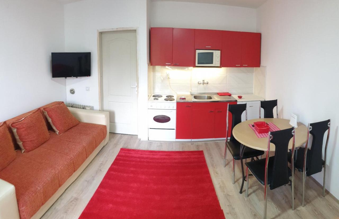 Apartman 4 - Studio Janja Sokobanja Kültér fotó